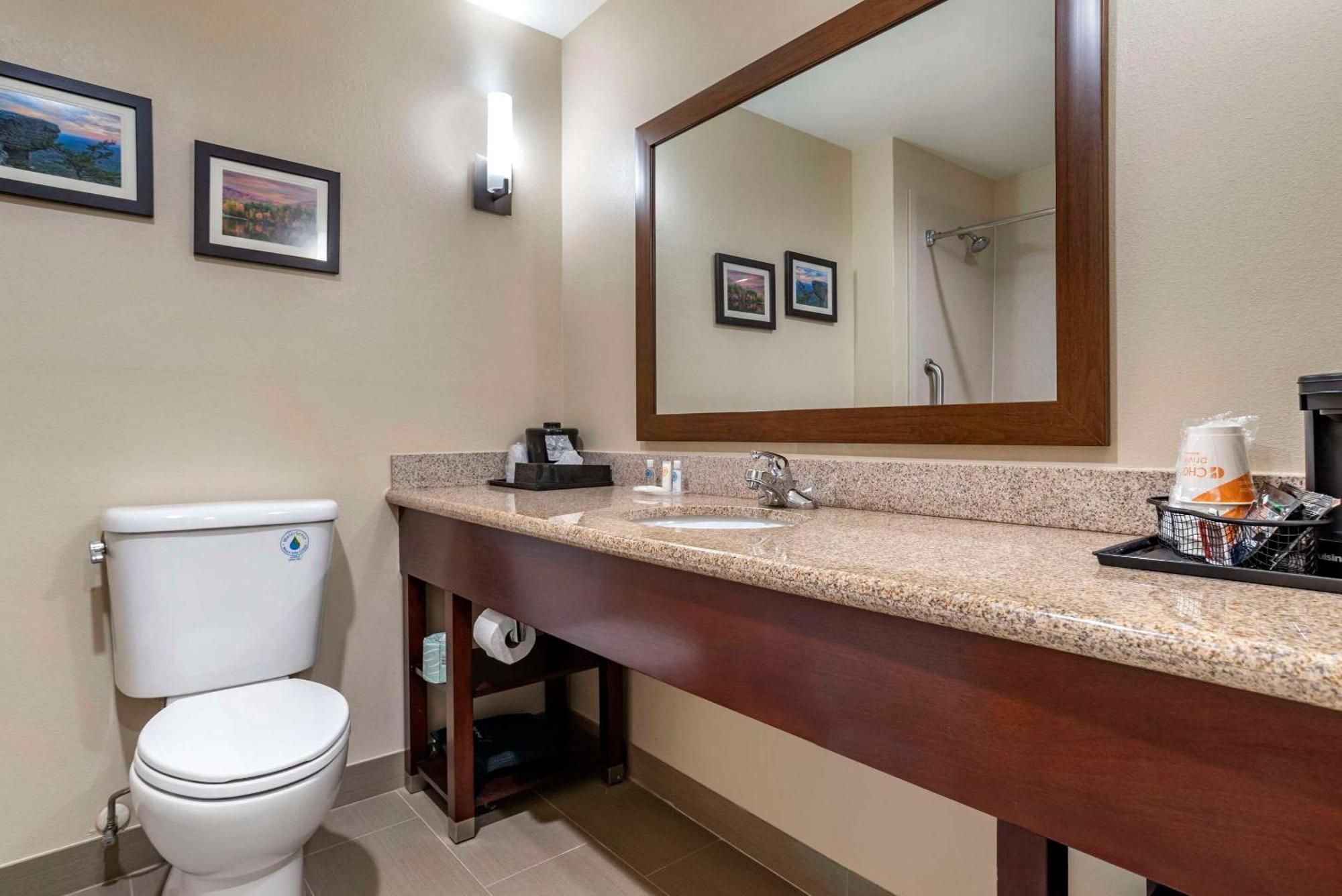 Comfort Suites Pell City I-20 Exit 158 Exterior foto