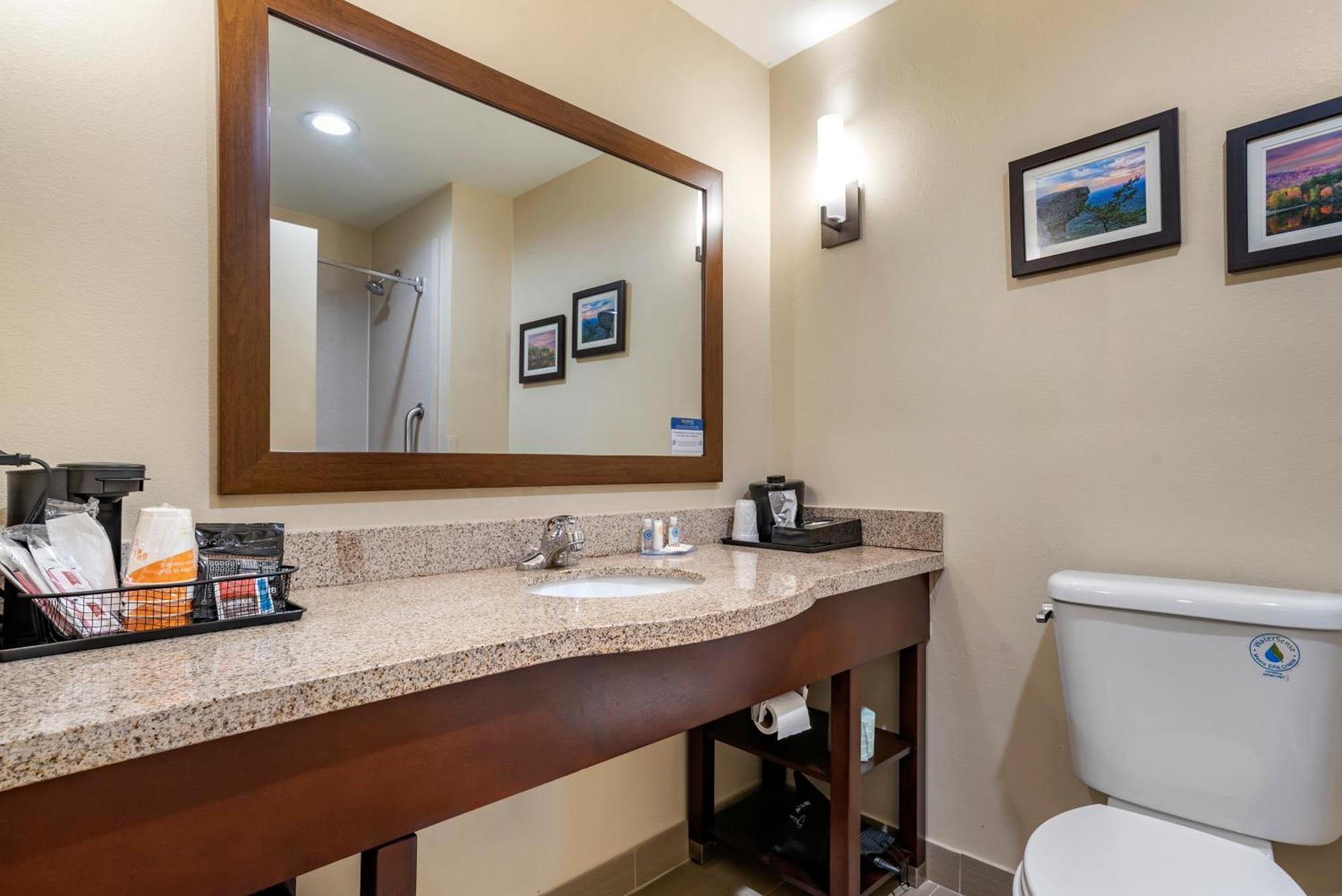 Comfort Suites Pell City I-20 Exit 158 Exterior foto